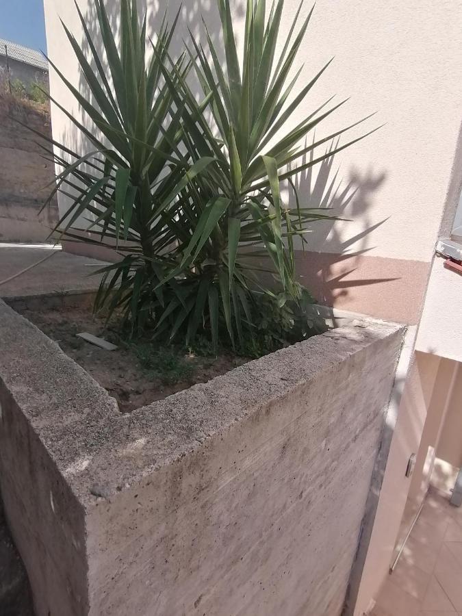Croatia Apartment